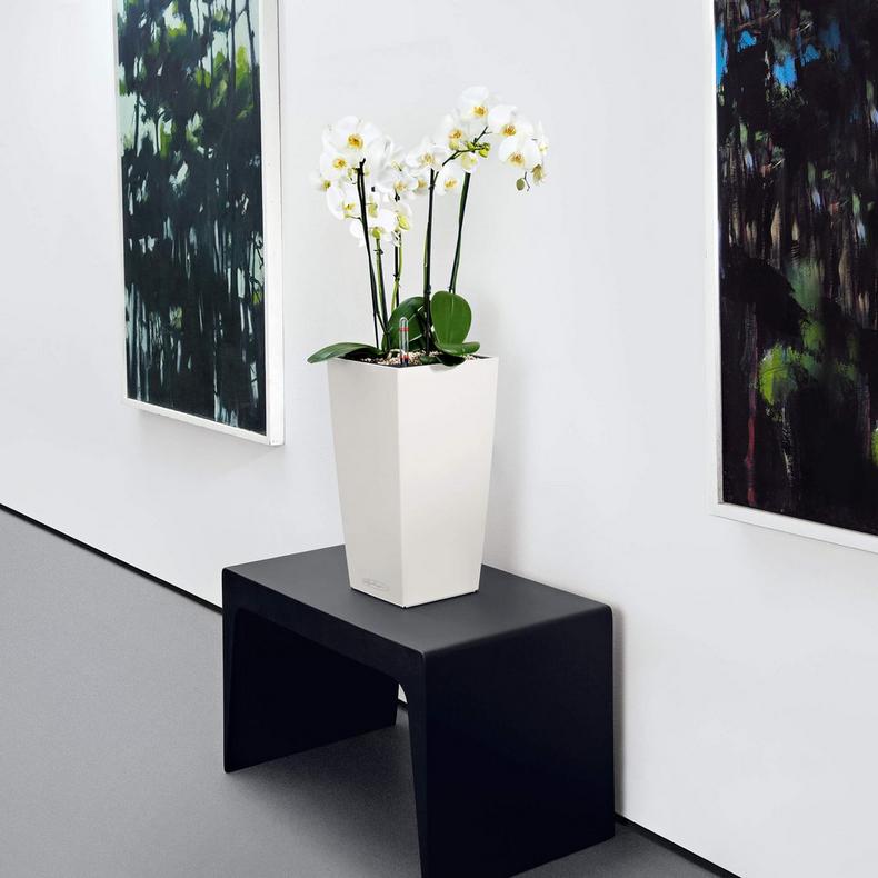 le_cubico-color22_product_addi_03